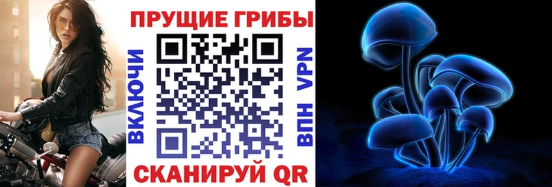 ссылка на мегу ссылка  Бронницы  Галлюциногенные грибы мухоморы  что такое  